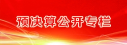 預(yù)算